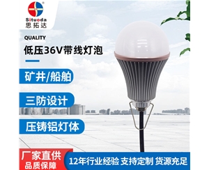 低壓36V帶線車(chē)鋁球泡燈
